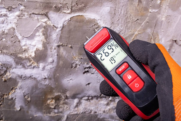 Best Post-Remediation Services in New Braunfels, TX