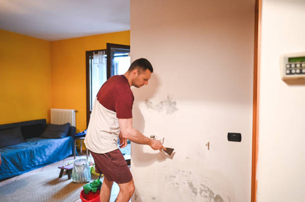Best Kitchen Mold Remediation in New Braunfels, TX